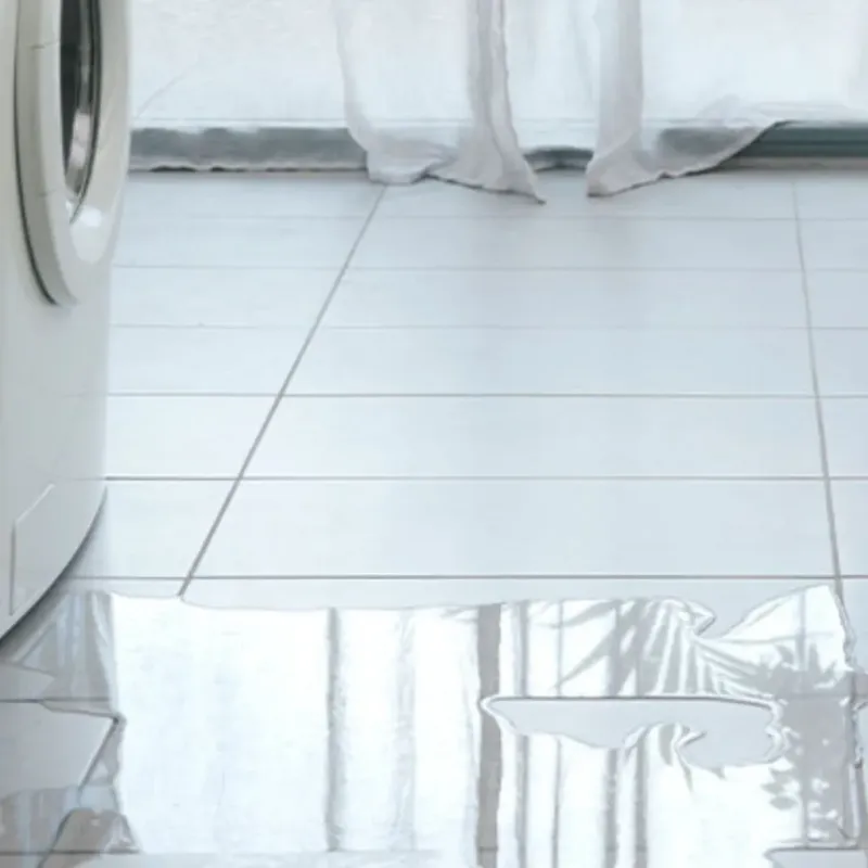Appliance Leak Cleanup in Wheeler, TX