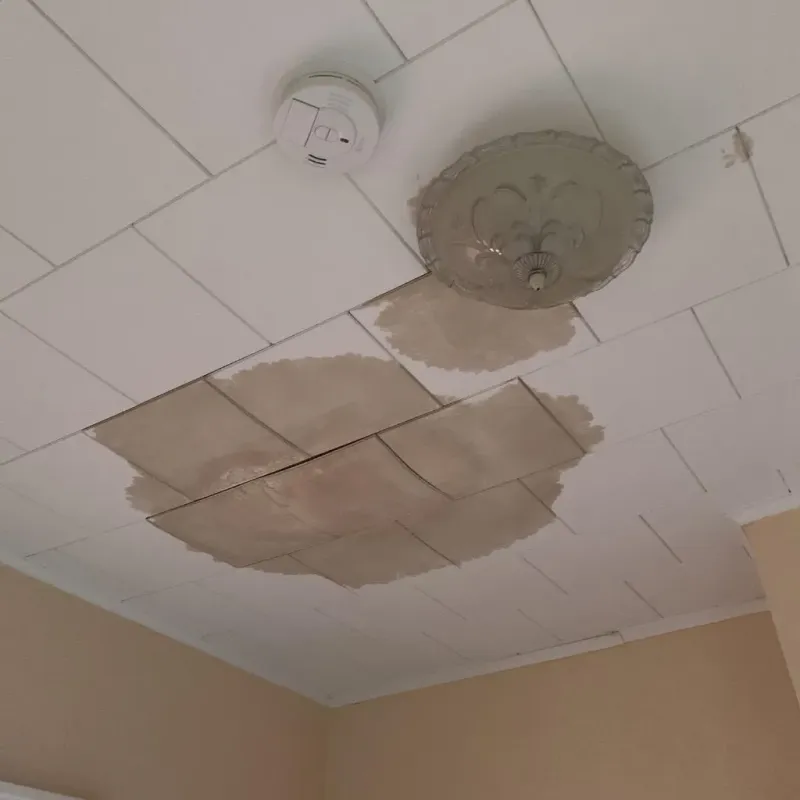 Ceiling Water Damage Repair in Wheeler, TX