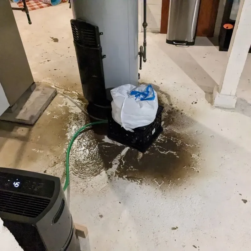 Sewage Backup Cleanup Service in Wheeler, TX